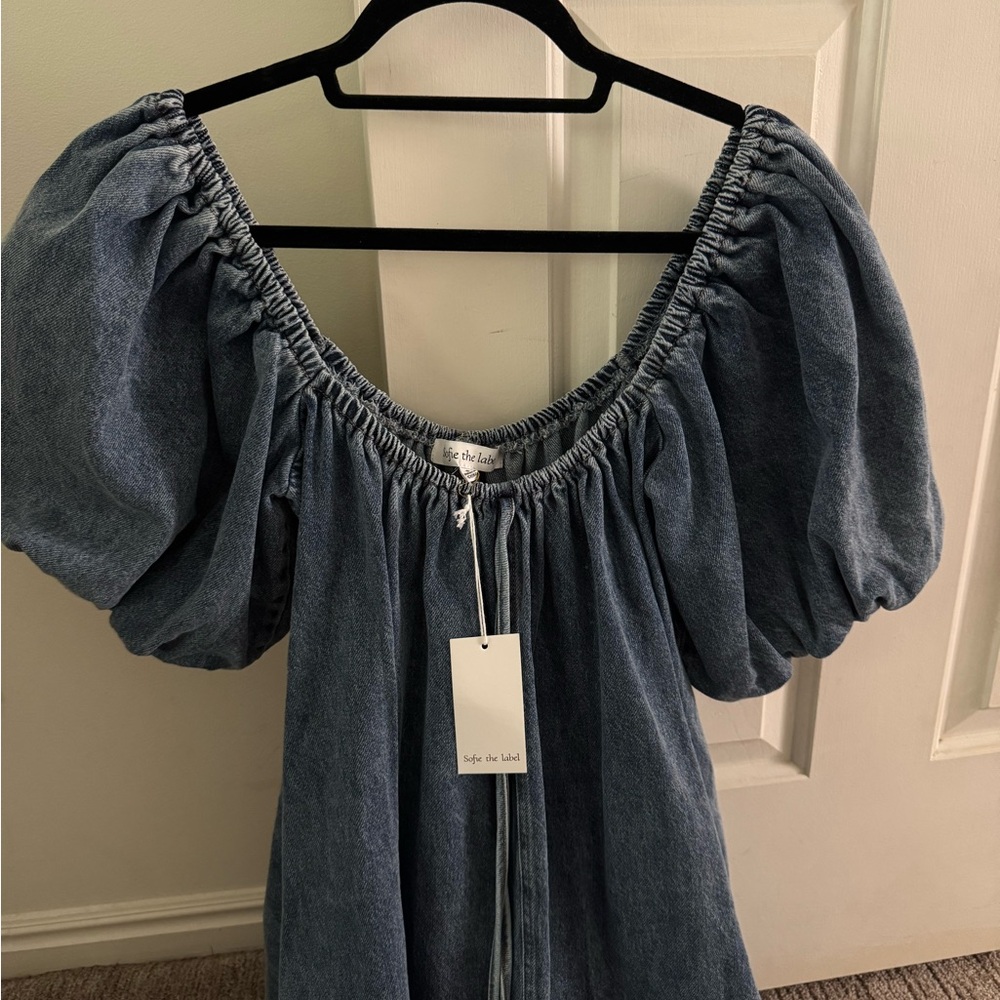 Sofie the Label Denim Puff Sleeve Mini Dress